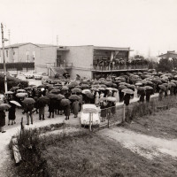 15 marzo 1969.  Santarcangelo di Romagna. La folla di cittadini e di militanti comunisti si raduna davanti alla sede del PCI in occasione del funerale del giovane Segretario della Federazione Giovanile Comunista Riminese, Loris Soldati (1947-1969), morto in un incidente stradale durante la preparazione di una manifestazione contro la NATO