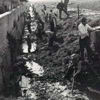 La sezione del PCI di Poggio Renatico durante i lavori per la riparazione degli argini del Reno dopo l'esondazione, 1952